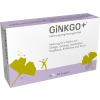 GINKGO PLUS Kapseln, 60 Stück